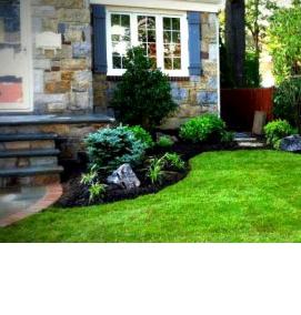 Озеленение местности - модель 2