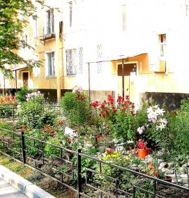 Озеленение многоквартирного дома - тип 1