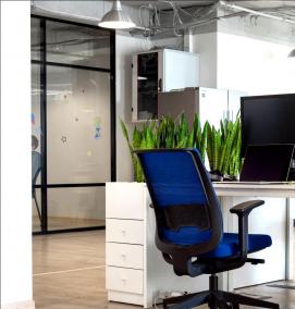 Озеленение офиса - тип 1