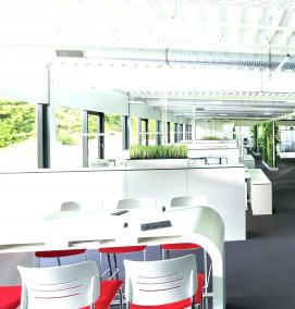 Озеленение офиса - тип 4