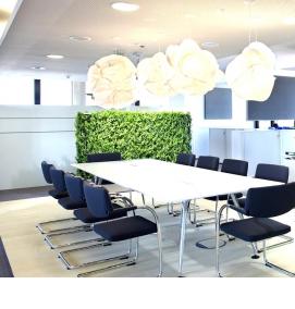 Озеленение офиса - тип 2