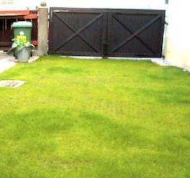 Озеленение откосов - вариант 1