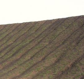 Озеленение откосов - вариант 3