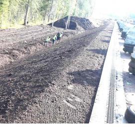 Озеленение откосов - вариант 2