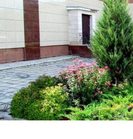 Озеленение памятников - тип 1