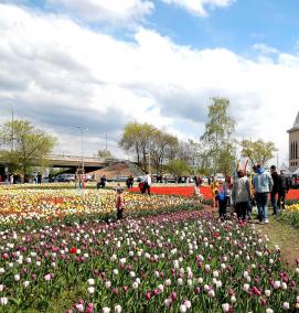 Озеленение памятников - тип 2