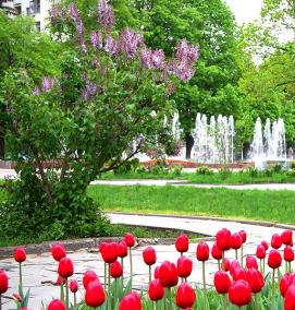 Озеленение парков - вариант 4