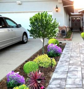 Озеленение парковки - тип 2