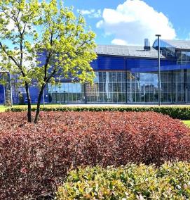 Озеленение предприятий - тип 1