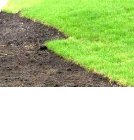 Озеленение предприятий - тип 4