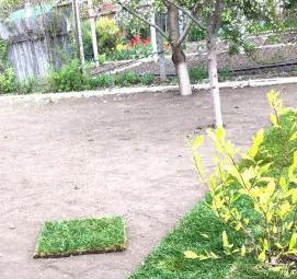 Озеленение придомовой территории - модель 1