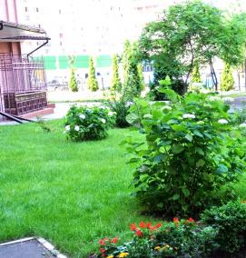 Озеленение прилегающей территории - модель 3