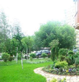 Озеленение прилегающей территории - модель 2