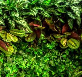 Озеленение производства - модель 2