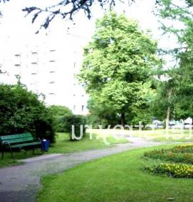 Озеленение промышленной территории - вариант 3