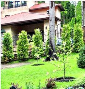 Озеленение промышленной территории - вариант 2