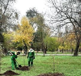 Озеленение промышленных предприятий - модель 3