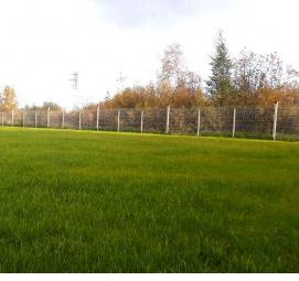 Озеленение промышленных предприятий - модель 2