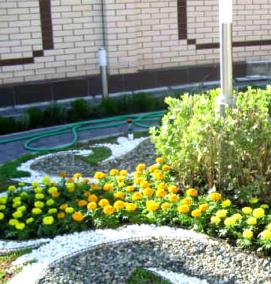 Озеленение школьной территории - тип 3