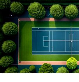 Озеленение спортивных площадок - вариант 1