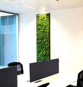 Озеленение стен - вариант 3