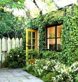 Озеленение стен - вариант 2