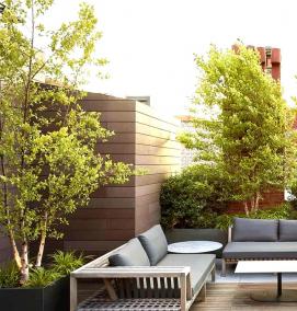 Озеленение террасы - модель 4