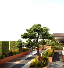 Озеленение террасы - модель 3