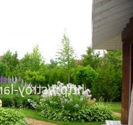 Озеленение территории дворов - вариант 1