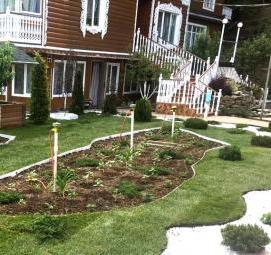 Озеленение территории дворов - вариант 2