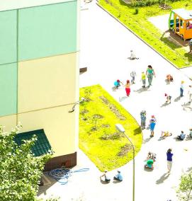 Озеленение территории школы - тип 2