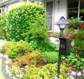 Озеленение территории участка - тип 1