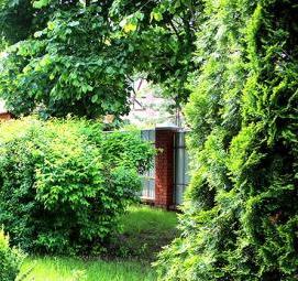 Озеленение территории участка - тип 2