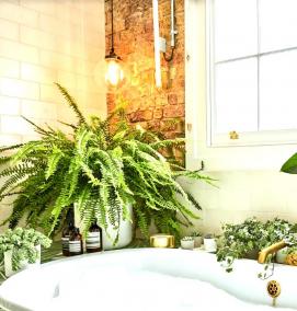 Озеленение ванной - вариант 3