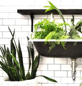 Озеленение ванной - вариант 2