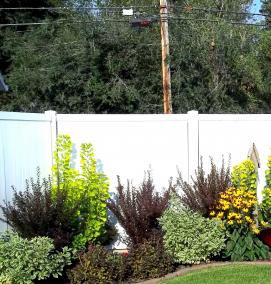 Озеленение забора - тип 2