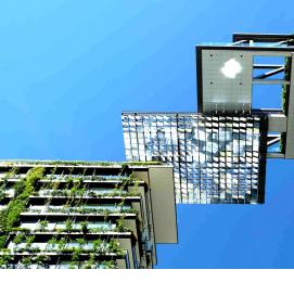 Озеленение зданий - модель 1