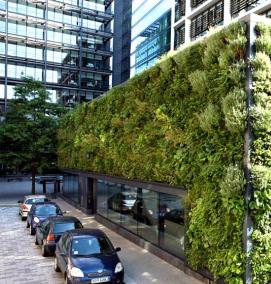 Озеленение зданий - модель 2