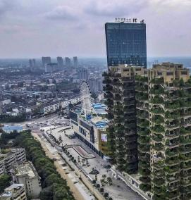 Озеленение жилой застройки - модель 1