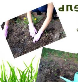 Озеленения дошкольного учреждения - тип 1