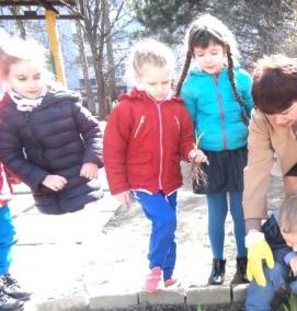 Озеленения дошкольного учреждения - тип 4