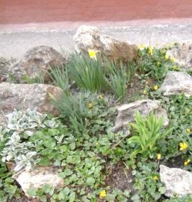 Озеленения дошкольного учреждения - тип 3