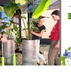 Озеленения дошкольного учреждения - тип 2