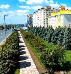 Озеленения улиц города - модель 1