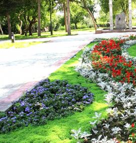 Озеленения улиц города - модель 3