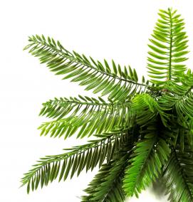 Панели пвх: пальмы - тип 4