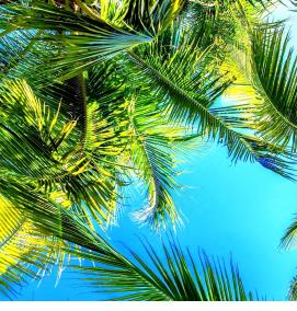 Панели пвх: пальмы - тип 3