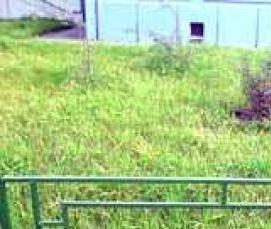 Парковое - тип 3