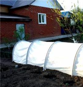 Парник дачный - модель 2