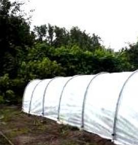 Парник для бассейна - тип 2